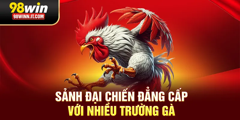 Sảnh đại chiến đẳng cấp với nhiều trường gà